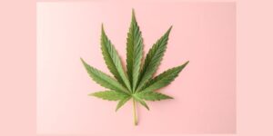 Effective SEO Strategies for a Thriving Cannabis Website