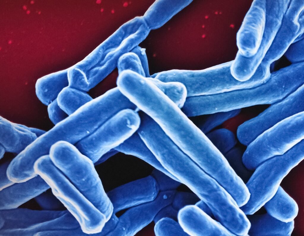 Unlocking the Power of Microbiome Therapy