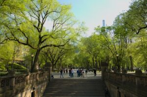 8K Steps Strategy: Walking for Weight Loss Success