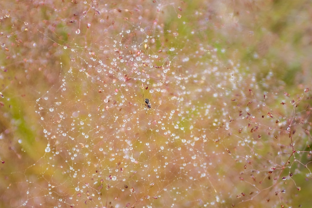 Photo dewy skincare flatlay