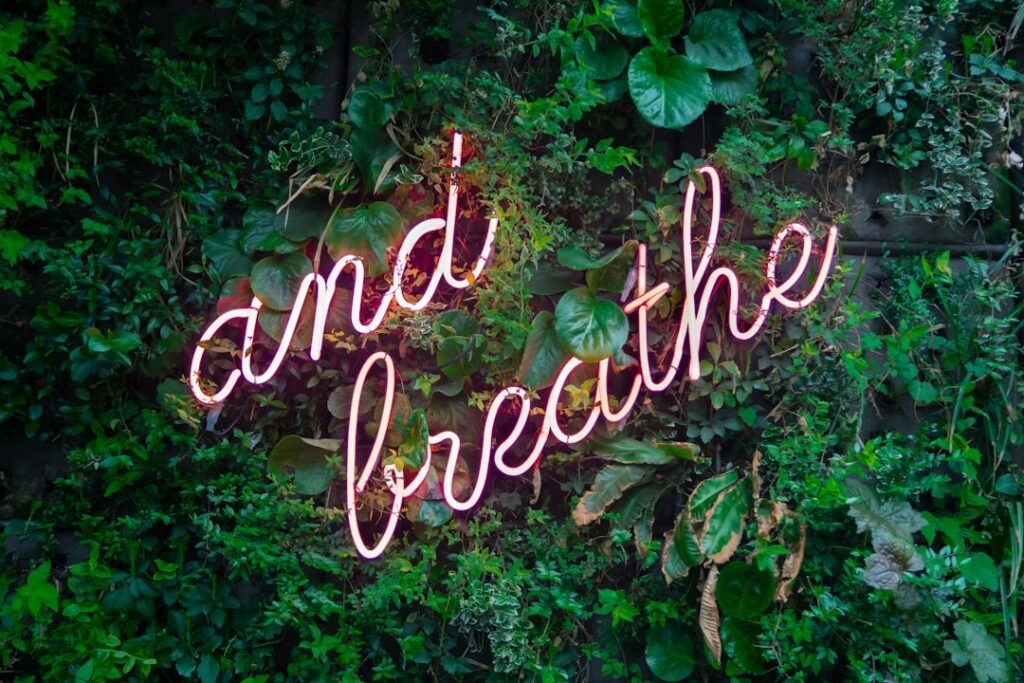 5 Wellness Tips for a Healthier Mind and Body