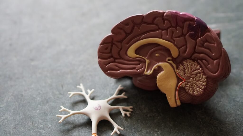 Unlocking Stress Relief: Vagus Nerve Stimulation