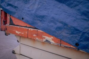 Photo Longevity Industry