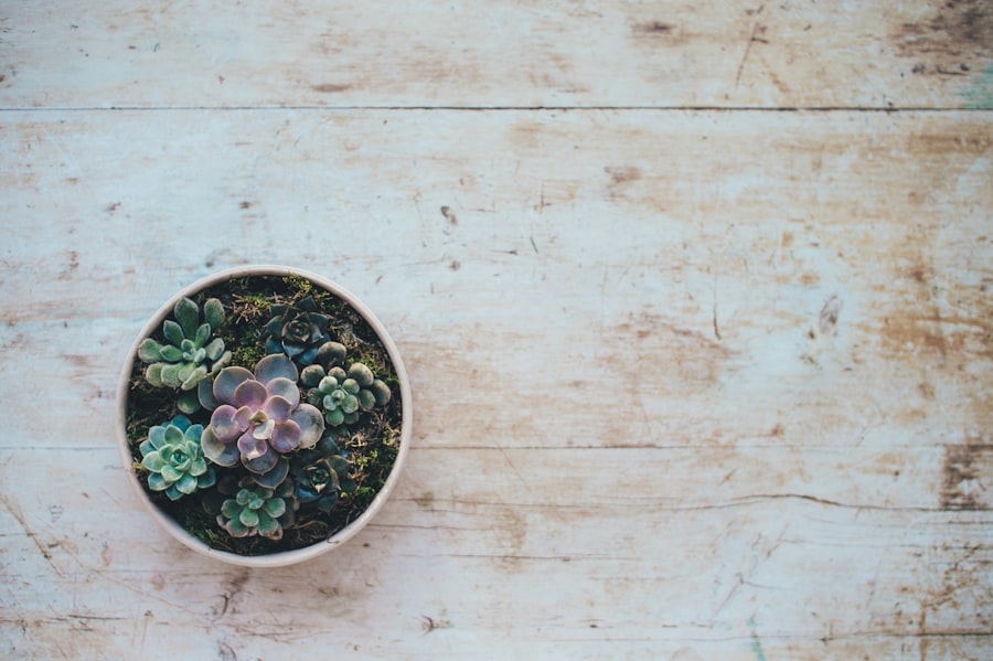 Photo Holistic Health