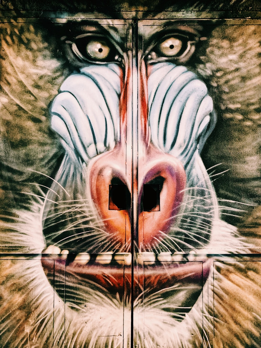 Photo pain perception