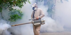 Cultivating a Safer Outdoor Space: Effective Strategies for Tick and Mosquito Control