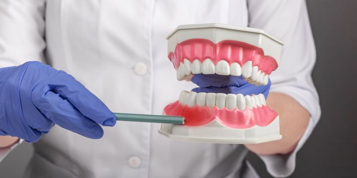 W88Page periodontal care